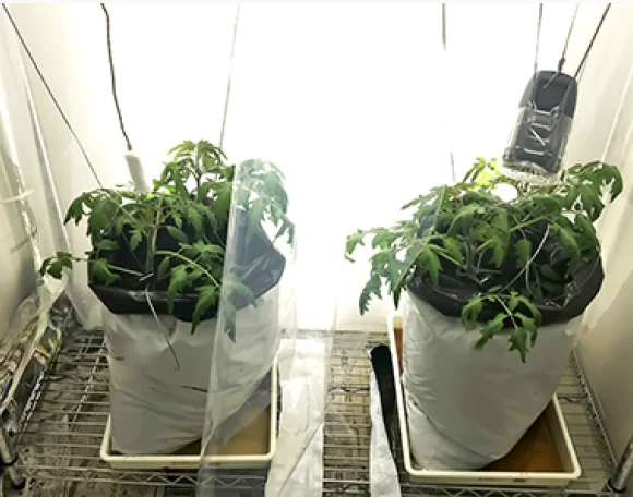 商品化に向けてのデータ取得