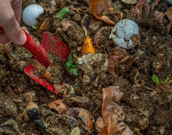 未利用資源の活用