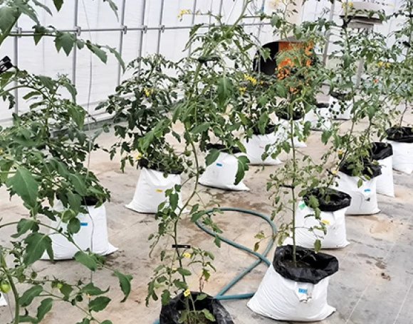 販売を指示する信頼の置けるデータ取得