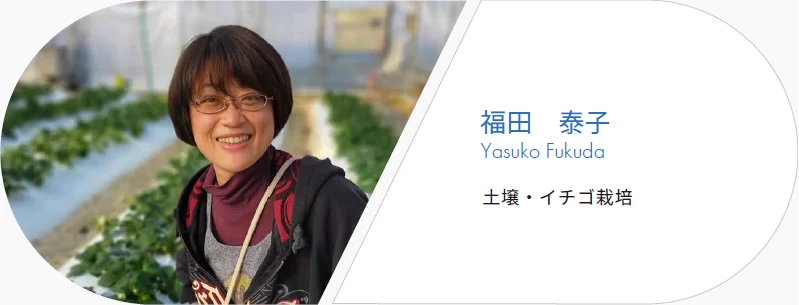 福田泰子 土壌・イチゴ栽培