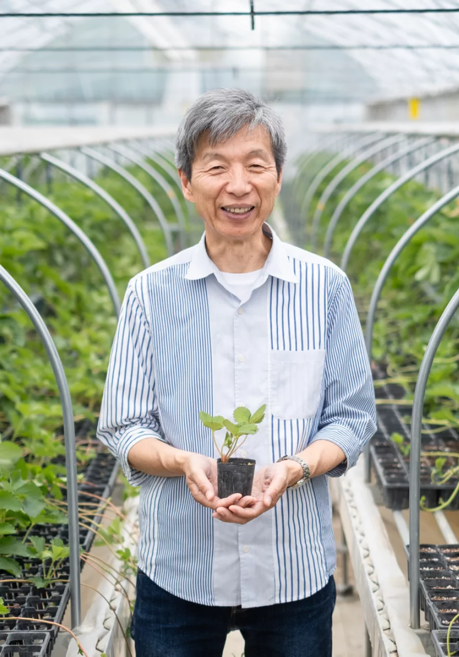 代表取締役 中村新